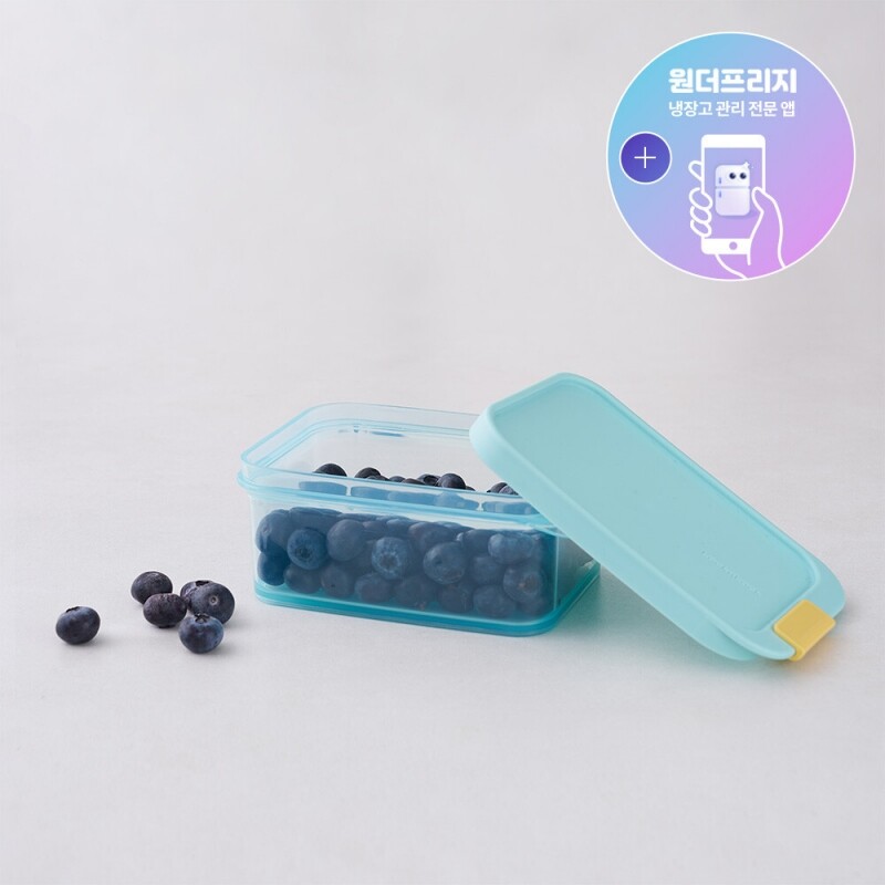 좋은 것을 담다 락앤락,프리저핏 냉동실 정리용기 450ml