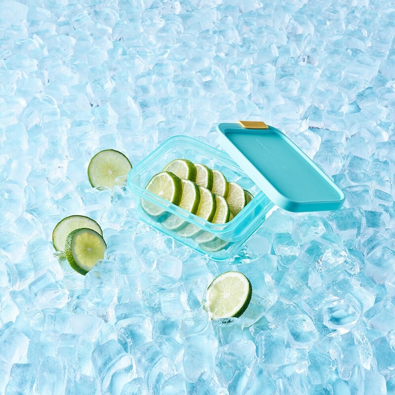 좋은 것을 담다 락앤락,프리저핏 냉동실 정리용기 450ml